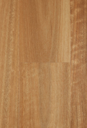 Spotted Gum Timber Floors